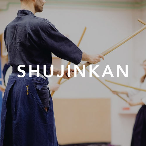 shujinkan-aikido_carre